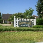 Springlake Neighborhood