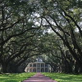 Oak Alley Plantation