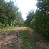 Satsuma Exit I-12