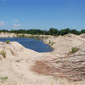 Amite River
