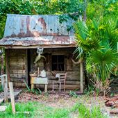 Cajun Pride Swamp Tours