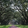 Oak Alley Plantation