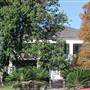 Stewart-Dougherty House