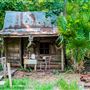 Cajun Pride Swamp Tours