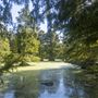 Mallard Bluff