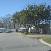 Trailer Parks