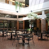 LSU - Design Building Atrium