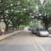 LSU Campus Overview