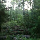 Tickfaw State Park