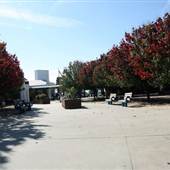 Parkview Baptist