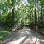 Tunica Hills