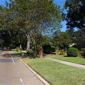 Stanford Avenue