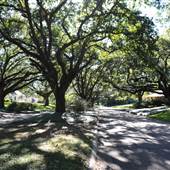 Steele Boulevard & Hillside