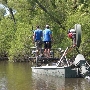 Atchafalaya Basin Swamp