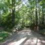 Tunica Hills