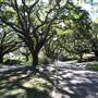 Steele Boulevard & Hillside