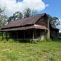 Sandifer & Son Farm