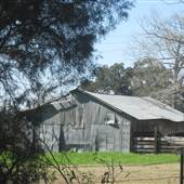 Greenwell Springs Barns
