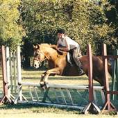 Country Bayou Stables