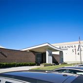 Oak Tree at Celtic Studios