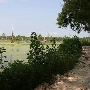 Alligator Bayou Swamp