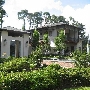 N Foster Home