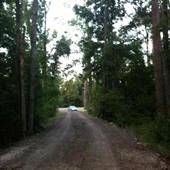 Tiger Bend Wooded Area