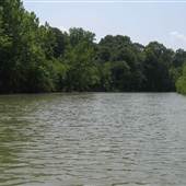 Bayou Sara