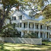 Live Oaks Plantation