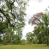 Monte Sano Bayou
