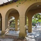 LSU-The Quad