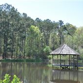 Mary Ann Brown Preserve