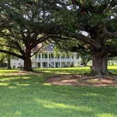 Glendale Plantation