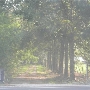 Dirt Road 1