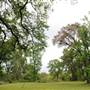 Monte Sano Bayou