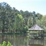 Mary Ann Brown Preserve