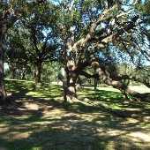 Baton Rouge City Park