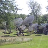 Satellite Dishes at Channel 2