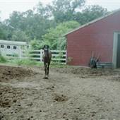 Fantasy Oak Farm