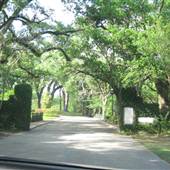 Beaumont Lane