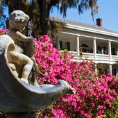 Rosedown Plantation
