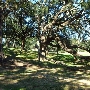 Baton Rouge City Park