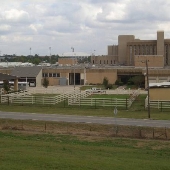 Horse Farm - River Road