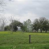 Ruins on River Road