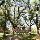 The Oaks