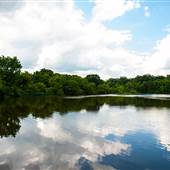 Greenwood Community Park