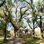 The Oaks