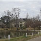 LSU Lakes