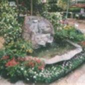 Louisiana Nursery