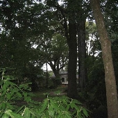 Hilltop Arboretum